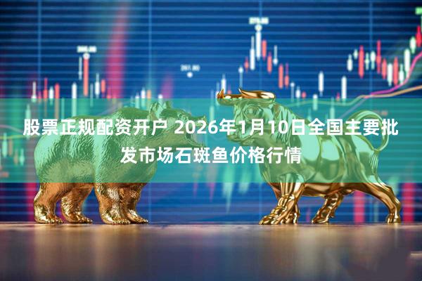 股票正规配资开户 2026年1月10日全国主要批发市场石斑鱼价格行情