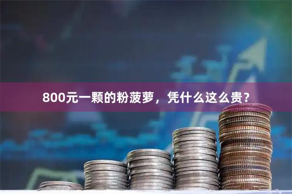 800元一颗的粉菠萝，凭什么这么贵？