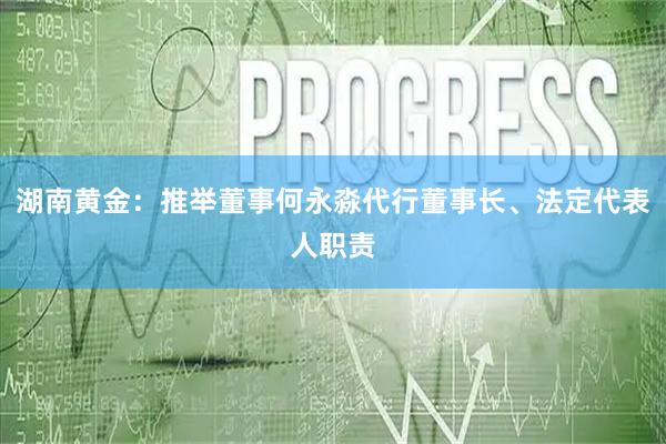 湖南黄金：推举董事何永淼代行董事长、法定代表人职责